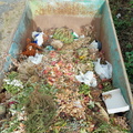 Müllentsorgung am Friedhof